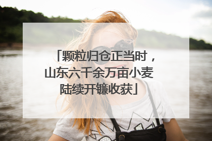 颗粒归仓正当时，山东六千余万亩小麦陆续开镰收获