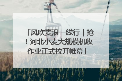 风吹麦浪一线行｜抢！河北小麦大规模机收作业正式拉开帷幕