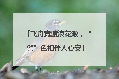 飞舟竞渡浪花激，“警”色相伴人心安