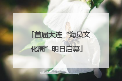 首届大连“海员文化周”明日启幕
