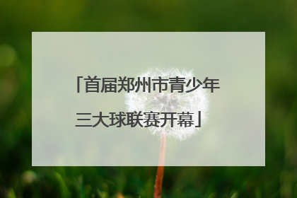 首届郑州市青少年三大球联赛开幕