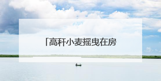 高秆小麦摇曳在房前屋后，巧手农民守望百年文化遗产