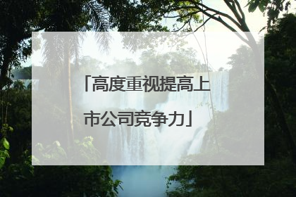 高度重视提高上市公司竞争力
