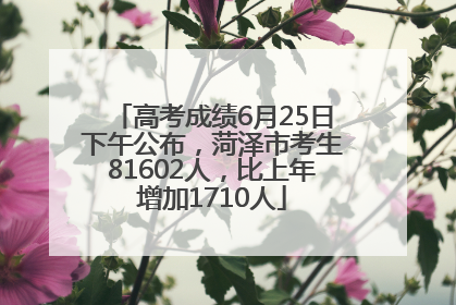 高考成绩6月25日下午公布，菏泽市考生81602人，比上年增加1710人