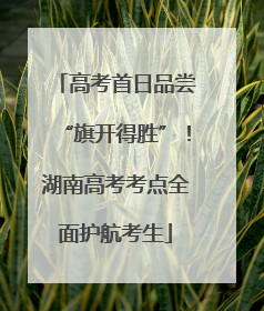 高考首日品尝“旗开得胜”!湖南高考考点全面护航考生