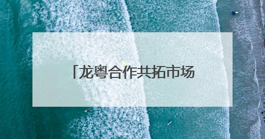 龙粤合作共拓市场，白桦树汁获黑龙江首张“湾区认证”