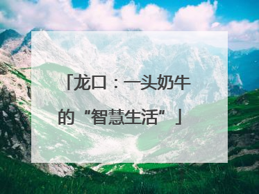 龙口：一头奶牛的“智慧生活”