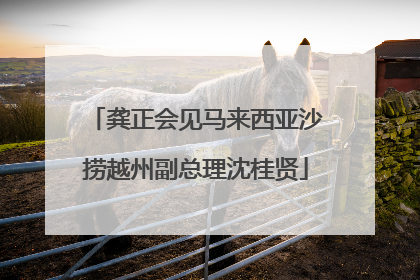 龚正会见马来西亚沙捞越州副总理沈桂贤