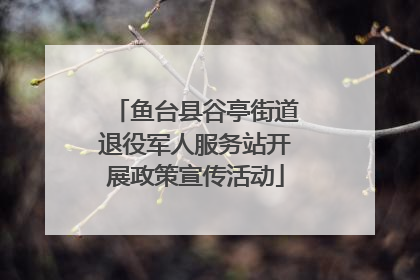 鱼台县谷亭街道退役军人服务站开展政策宣传活动