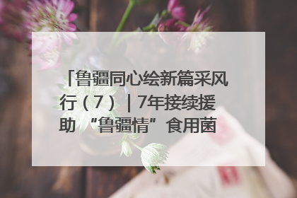 鲁疆同心绘新篇采风行（7）｜7年接续援助 “鲁疆情”食用菌从1.0走向4.0