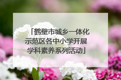 鹤壁市城乡一体化示范区各中小学开展学科素养系列活动
