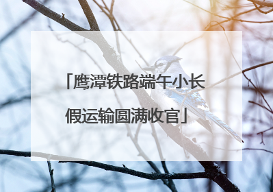 鹰潭铁路端午小长假运输圆满收官