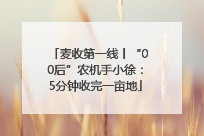 麦收第一线丨“00后”农机手小徐：5分钟收完一亩地