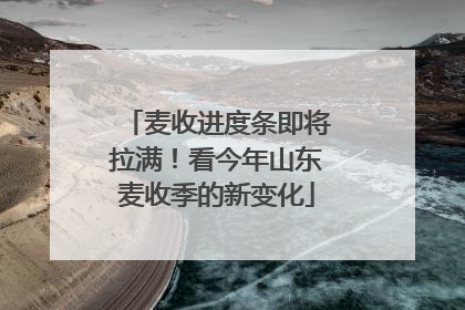 麦收进度条即将拉满！看今年山东麦收季的新变化
