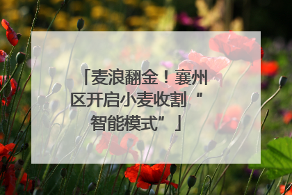 麦浪翻金！襄州区开启小麦收割“智能模式”