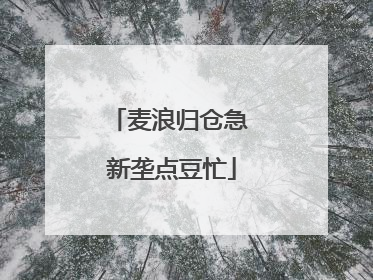 麦浪归仓急 新垄点豆忙