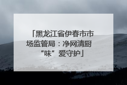 黑龙江省伊春市市场监管局：净网清厨 “味”爱守护