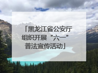 黑龙江省公安厅组织开展“六一”普法宣传活动