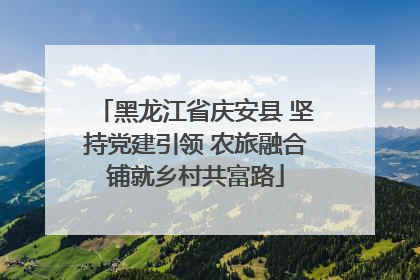 黑龙江省庆安县 坚持党建引领 农旅融合铺就乡村共富路