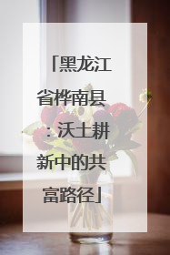 黑龙江省桦南县：沃土耕新中的共富路径