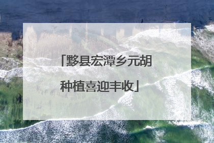 黟县宏潭乡元胡种植喜迎丰收