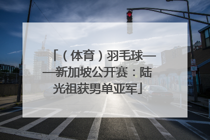 （体育）羽毛球——新加坡公开赛：陆光祖获男单亚军