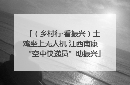 （乡村行·看振兴）土鸡坐上无人机 江西南康“空中快递员”助振兴