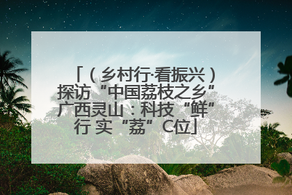 （乡村行·看振兴）探访“中国荔枝之乡”广西灵山：科技“鲜”行 实“荔”C位