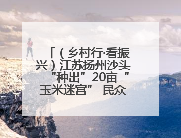 （乡村行·看振兴）江苏扬州沙头“种出”20亩“玉米迷宫” 民众体验别样“田园乐趣”