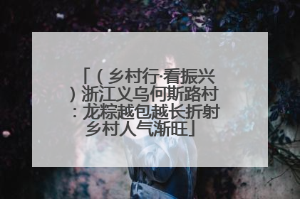 （乡村行·看振兴）浙江义乌何斯路村：龙粽越包越长折射乡村人气渐旺
