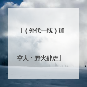 （外代一线）加拿大：野火肆虐