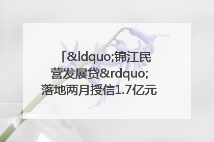 “锦江民营发展贷”落地两月授信1.7亿元，惠及118家民企