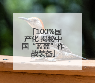 100%国产化 揭秘中国“蓝盔”作战装备