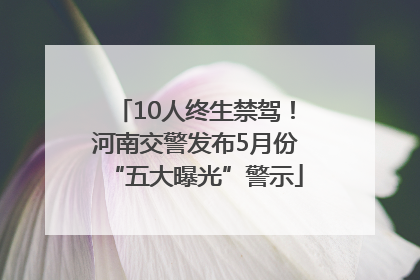 10人终生禁驾！河南交警发布5月份“五大曝光”警示