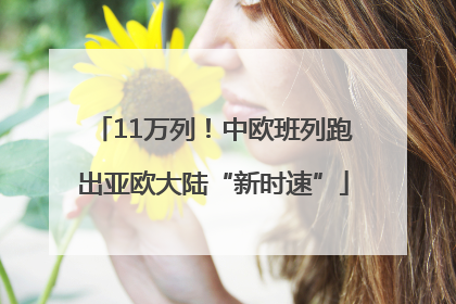 11万列！中欧班列跑出亚欧大陆“新时速”