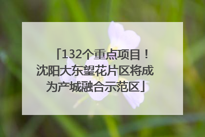 132个重点项目！沈阳大东望花片区将成为产城融合示范区