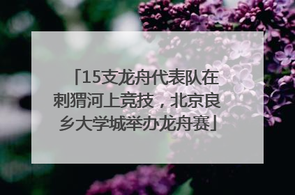 15支龙舟代表队在刺猬河上竞技，北京良乡大学城举办龙舟赛