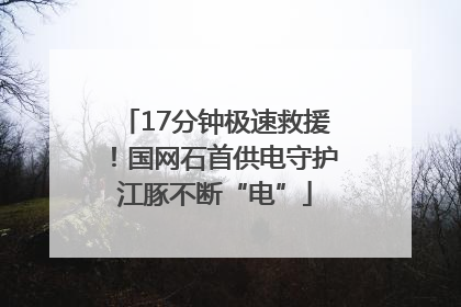 17分钟极速救援！国网石首供电守护江豚不断“电”