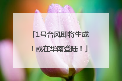 1号台风即将生成！或在华南登陆！