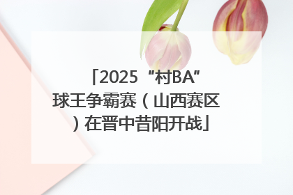 2025“村BA”球王争霸赛（山西赛区）在晋中昔阳开战