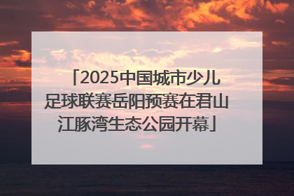 2025中国城市少儿足球联赛岳阳预赛在君山江豚湾生态公园开幕