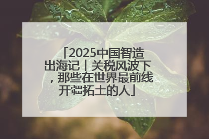 2025中国智造出海记丨关税风波下，那些在世界最前线开疆拓土的人