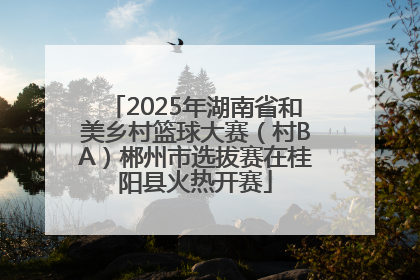 2025年湖南省和美乡村篮球大赛（村BA）郴州市选拔赛在桂阳县火热开赛