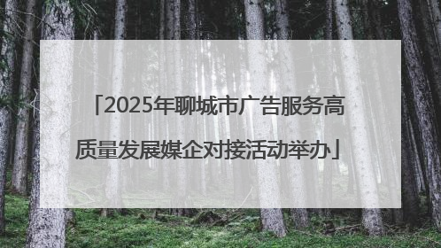 2025年聊城市广告服务高质量发展媒企对接活动举办
