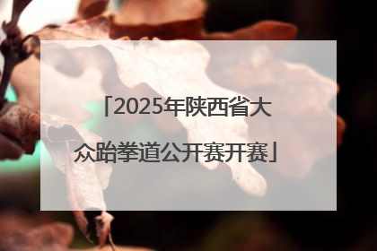 2025年陕西省大众跆拳道公开赛开赛