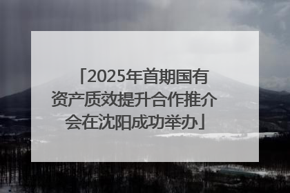 2025年首期国有资产质效提升合作推介会在沈阳成功举办