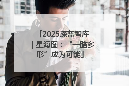 2025深蓝智库｜星海图：“一脑多形”成为可能