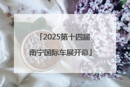 2025第十四届南宁国际车展开幕