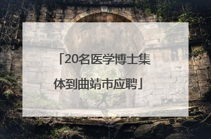 20名医学博士集体到曲靖市应聘