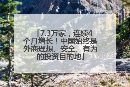 7.3万家，连续4个月增长！中国始终是外商理想、安全、有为的投资目的地
